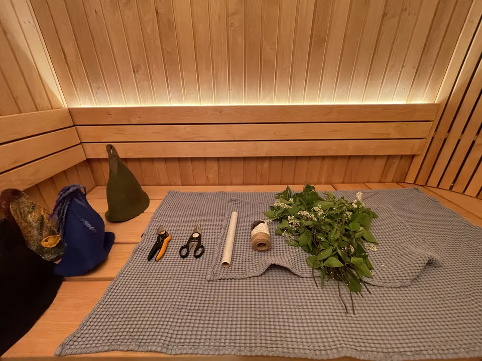 Blooming bird cherry sauna whisk (vihta) in the making.